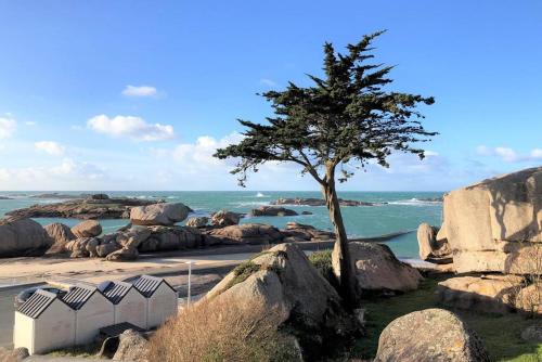 Maison SUPERBE VUE MER ET ROCHERS avec jardin TREGASTEL Ref-8 gîte à louer Trégastel-Plage