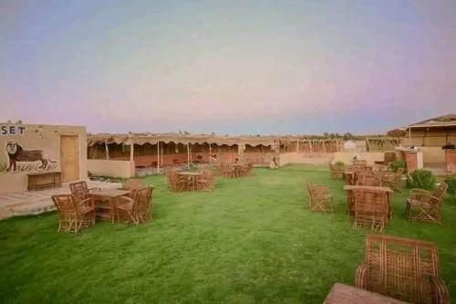 Fayoum Desert Camp & Tour - image 10