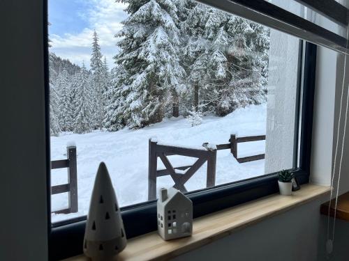 Chalet Pahulja - image 12