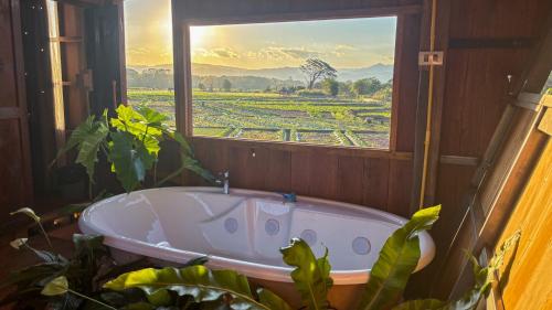 Surrounding environment, DeeTorJai FarmStay Nan ดีต่อใจ ฟาร์มสเตย์ น่าน โดยเจ้าของ in Chiang Klang