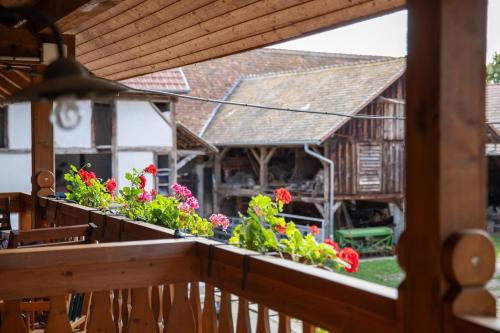 Kilátás, Escapade a la ferme in Horbourg-Wihr
