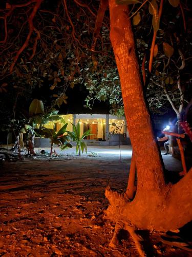 Bush Baby Compound in Gunjur