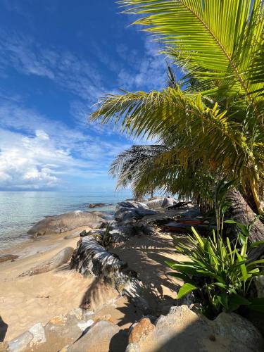Beach House - Tioman Island