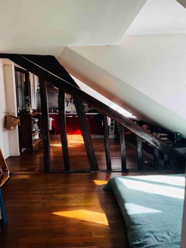 Parisian Flat under the Roofs
