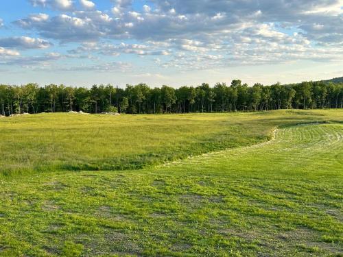 Green Acres Real Sancho's unit 1 in 沃特維爾