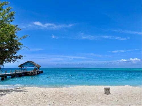Sea Foam Villa - Buccoo - Lovely 3 BR, Fully AC in Betela
