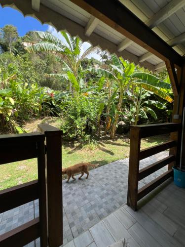 La Maison du Bonheur in ปวงต์ นัวร์