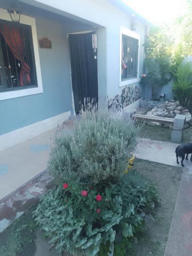 Latido de Montana in Cosquin