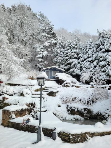 สวน, Rez-de-jardin en lisière de forêt (Rez-de-jardin en lisiere de foret) in แซ็ง-เด-เด-โวฌ