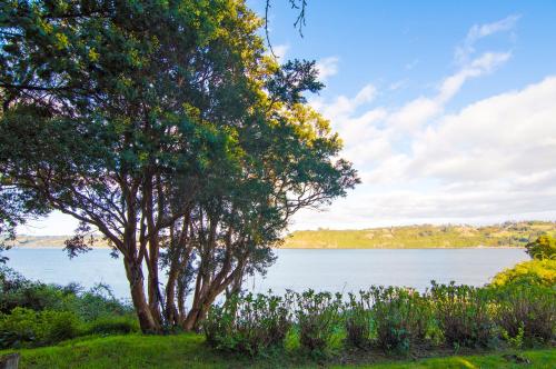 La Casa Del Árbol De Chiloé