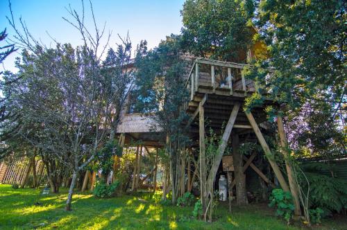 La Casa Del Árbol De Chiloé