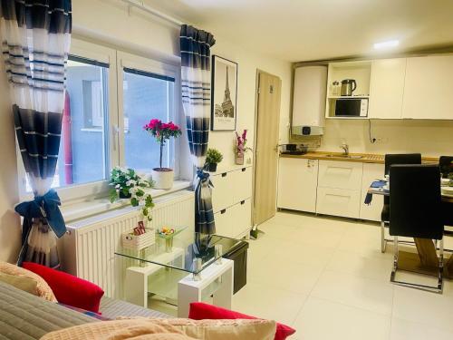 Cozy apartment in Zidenice