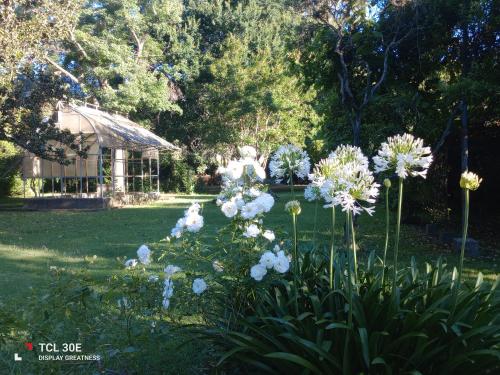 Quinta Atalaya in 大洛特里基斯