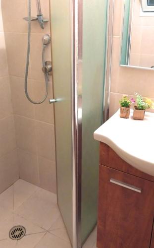 Ducha, גאון מול המדבר in Arad