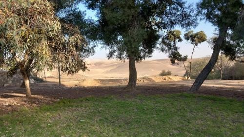 Alrededores, גאון מול המדבר in Arad