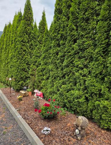 Haus Jassy - Apartment - Sautens