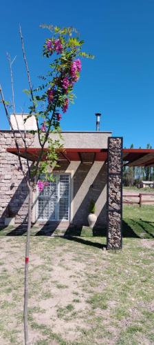 Cabaña de campo La Tabanerina (Cabana de campo La Tabanerina) in Salto de las Rosas
