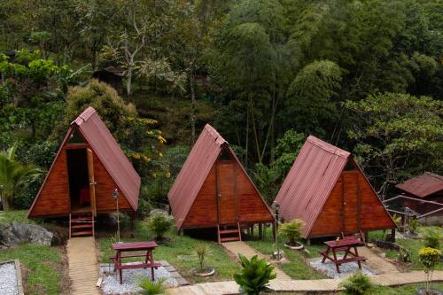 Finca Las Palmas - San Luis in San Carlos