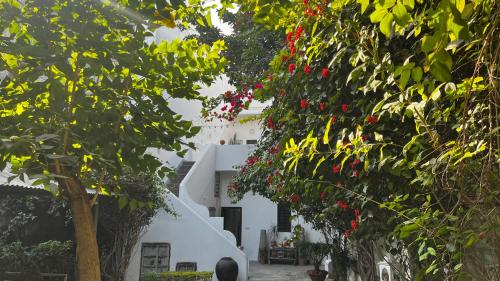 Mosaics Guest House, Džajpur