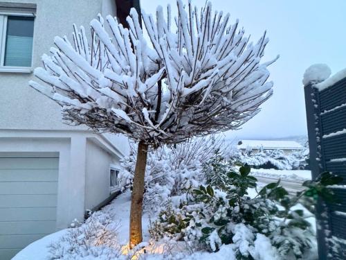 外部景觀, Holiday home in Bestwig with ski-storage in 貝斯特維格