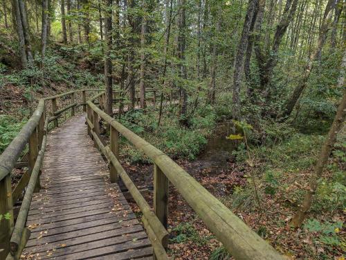 周邊環境, Holiday home in Bestwig with ski-storage in 貝斯特維格