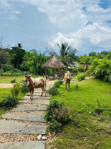 Rancho Paraíso Escondido (Rancho Paraiso Escondido) in Consuelo