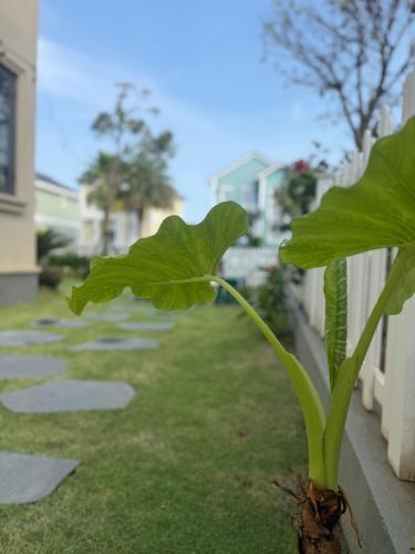 La Mer Villa Tien Thanh Phan Thiet 3BR Near Beach - image 2