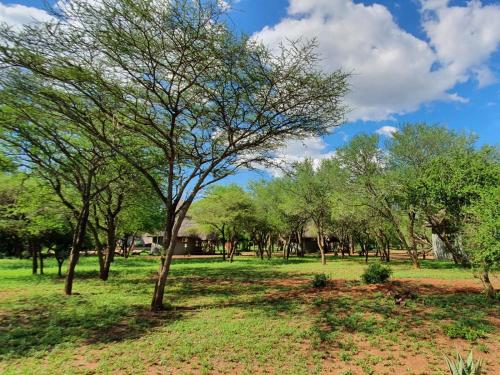 Garden, KaMsholo Bushveld Safaris in Lubombo