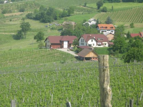 Tourist Farm Joannes - image 6