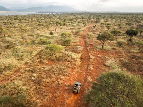 Garden, KaMsholo Bushveld Safaris in Lubombo