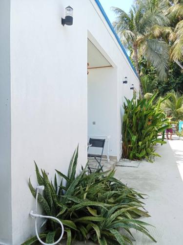 Vista exterior, Fulidhoo Hathaa Retreat in Vaavu Atoll