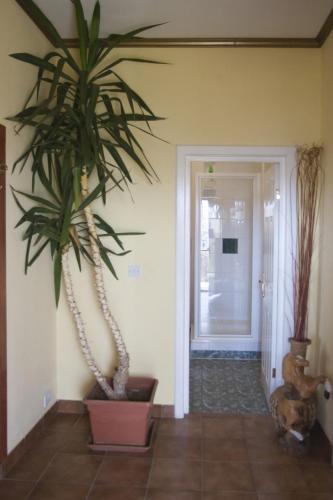 Country Club La Mesteceni - image 13