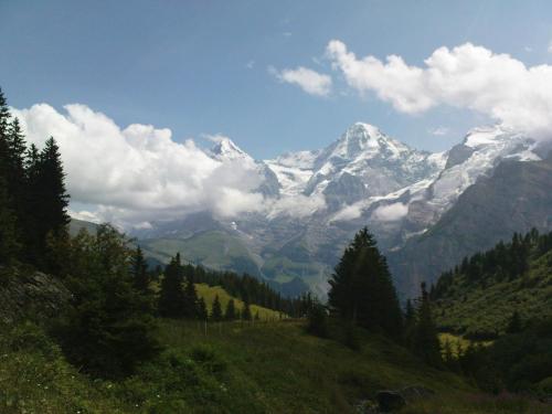 Pension Gimmelwald - image 8