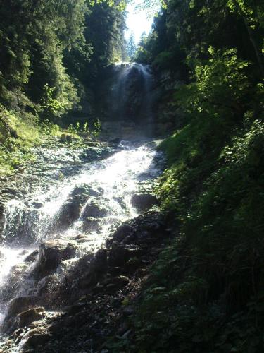 Pension Gimmelwald - image 2