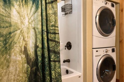 River Song Cabin home - image 4