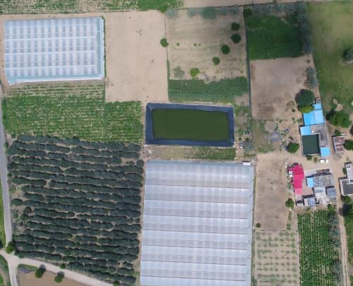 Prerna organic farms in Suradžgarha