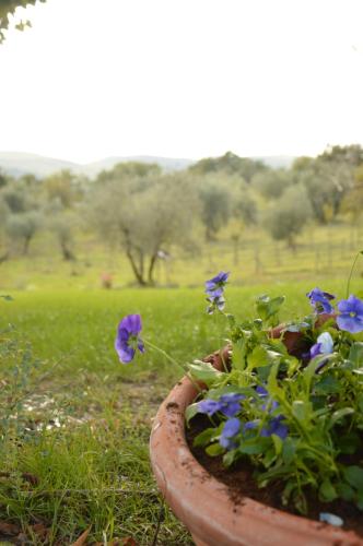 Agriturismo Riparossa