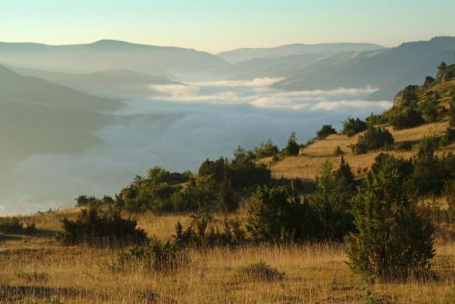 Logis Hotel Restaurant Family & Spa - image 4