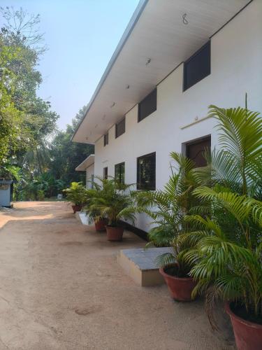 Lagoon lake view - Kollam