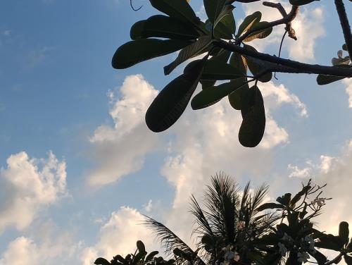 EnDanni Home in Thalang