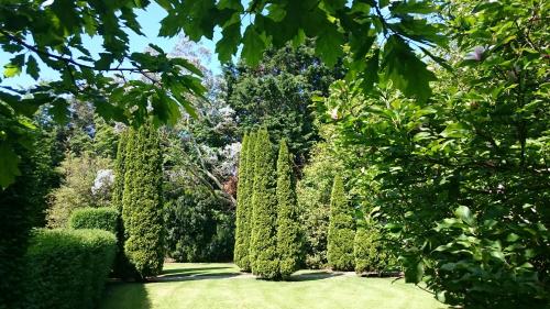 Glebe Country House - image 13