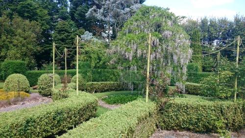 Glebe Country House - image 11