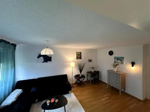 Furnished Apartment in Baden in Baden, Schweiz