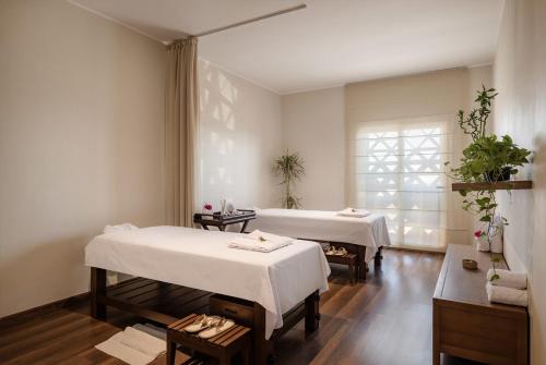 MGM Wellness Retreat in اسوان