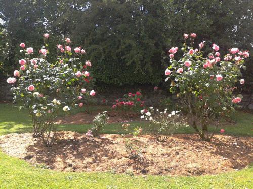 Glebe Country House - image 8