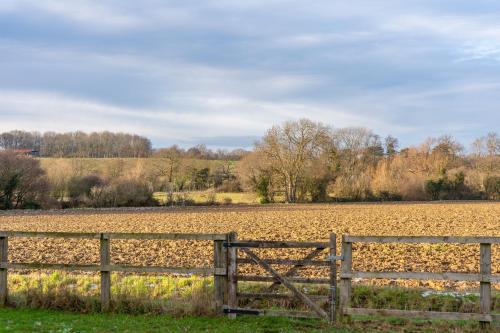 Birch in Mickleton