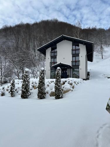Forest House – khách sạn tại Moieciu de Jos