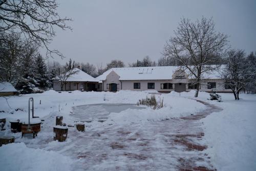 Udvendig, Mezővégi II Vendégház (Mezovegi II Vendeghaz) in Kisar