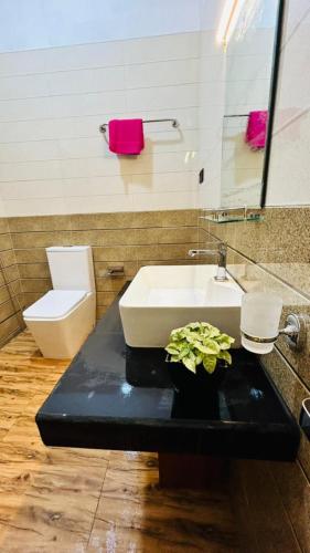 Crest Cold Homestay - image 4
