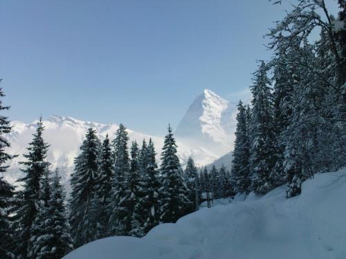 Iekārtas, Pension Gimmelwald in Gimelvalde